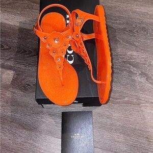 NIB Coach Mandarin Floral Fashion Sandals Women’s 5